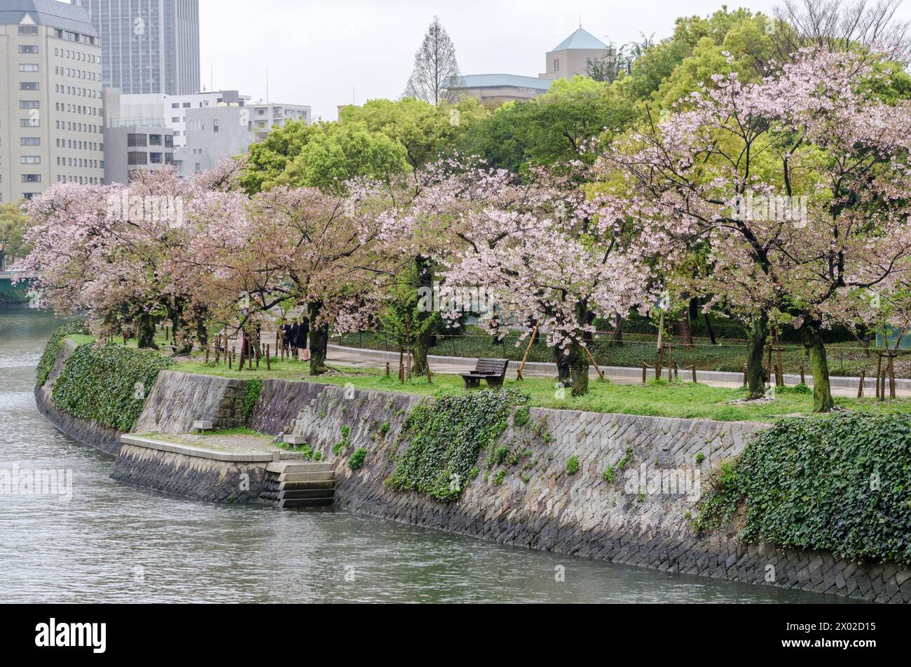 Un parc avec une rivière qui le traverse et des arbres avec des fleurs roses. Le parc est plein de gens appréciant le beau paysage Banque D'Images