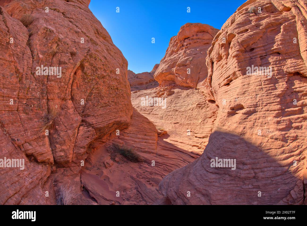 Un canyon étroit menant à une île rocheuse à Ferry Swale dans la zone de loisirs de Glen Canyon près de page, Arizona, États-Unis d'Amérique Banque D'Images