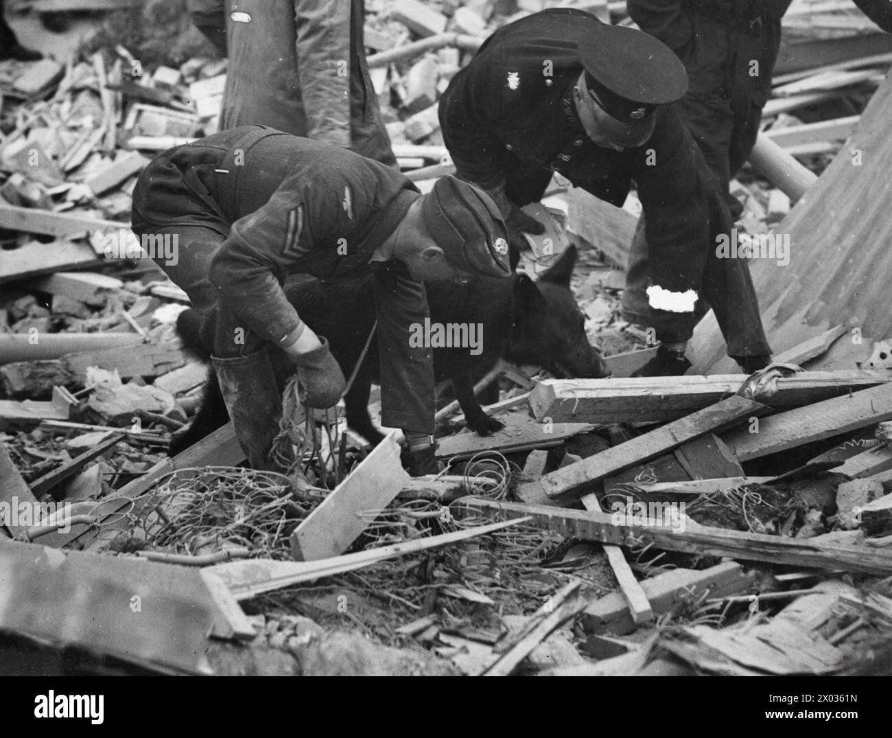 Le 1er novembre 1944, une bombe volante détruit un hôtel privé dans le sud de l'Angleterre. Un caporal de la RAF a ordonné à un chien alsacien de localiser les résidents piégés. Banque D'Images