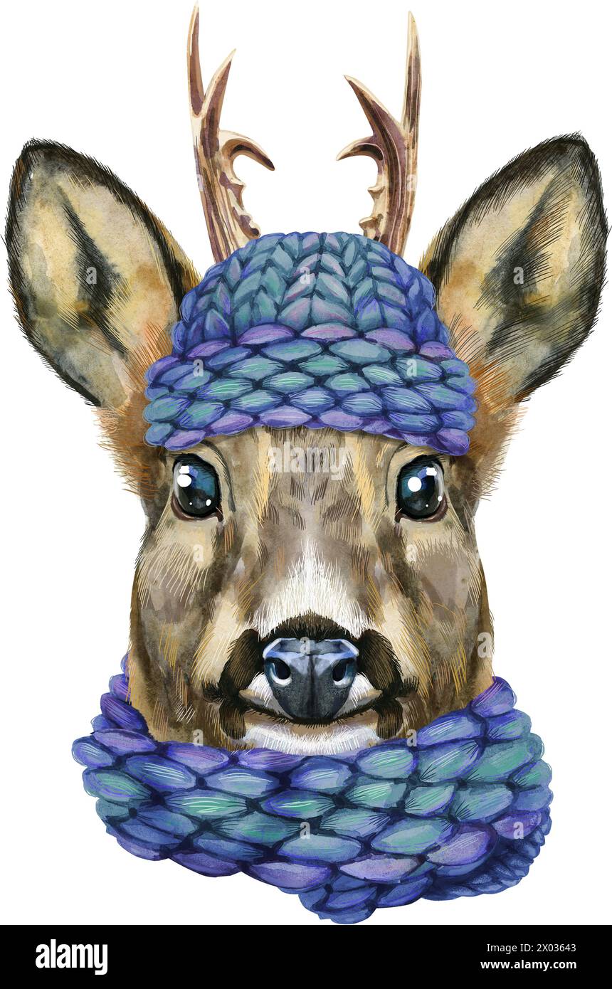 Portrait aquarelle d'un chevreuil dans un chapeau tricoté bleu et une écharpe sur fond blanc Banque D'Images