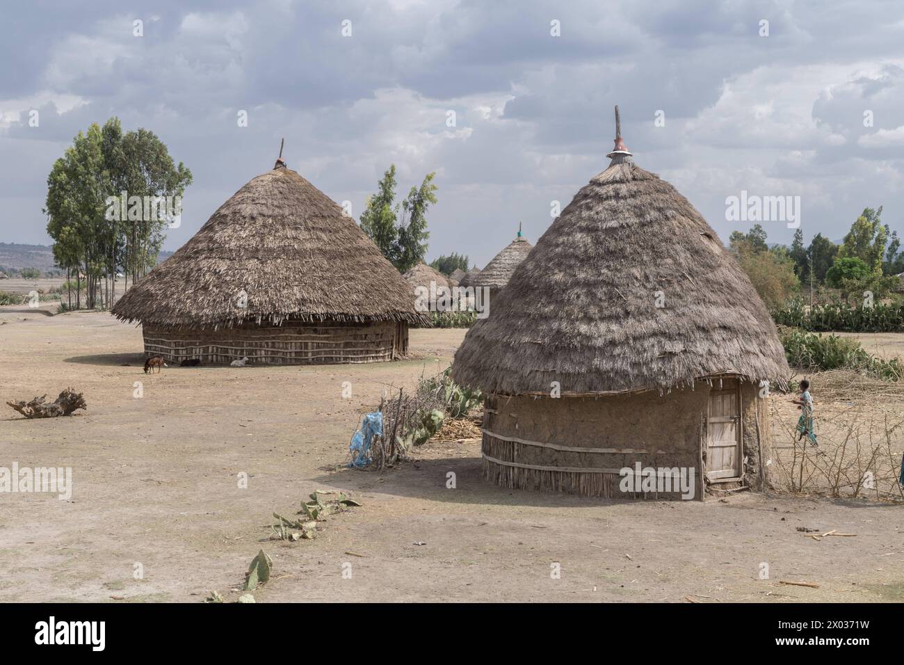 CBM Pressereise nach Äthiopien Kinder vor Äthiopischen Rundhütten neben dem Goflea Health Post. District de Goflea Silti Äthiopien *** voyage de presse du CBM en Ethiopie enfants devant des huttes rondes éthiopiennes à côté du poste de santé de Goflea district de Goflea Silti Ethiopie Copyright : CBMx/xargumx/xThomasxEinberger Banque D'Images