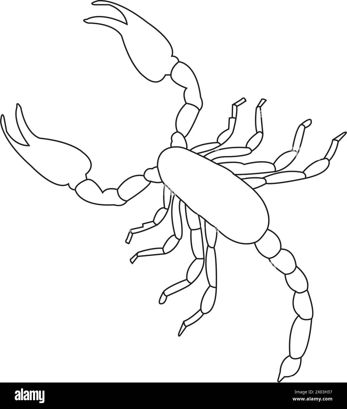 conception de logo d'illustration vectorielle d'icône scorpion Illustration de Vecteur