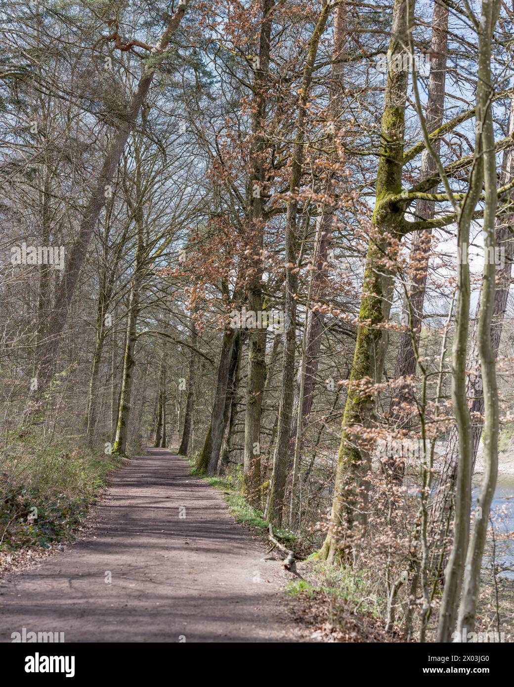 Paysage avec des arbres et chemin sur la rive du lac parmi les bois dans le parc public historique, tourné dans la lumière du printemps à Stuttgart, Allemagne Banque D'Images