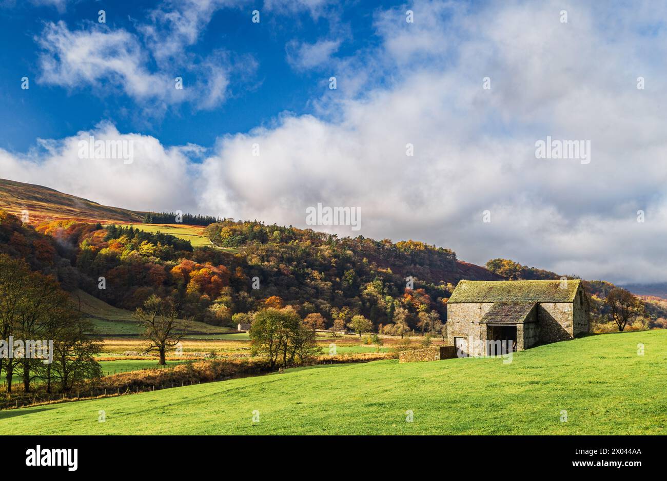 Les granges de champ ou « laithes » sont une caractéristique distinctive du paysage des Yorkshire Dales. Les granges ont été utilisées comme une combinaison de logements pour bétail et de STO fourragère Banque D'Images