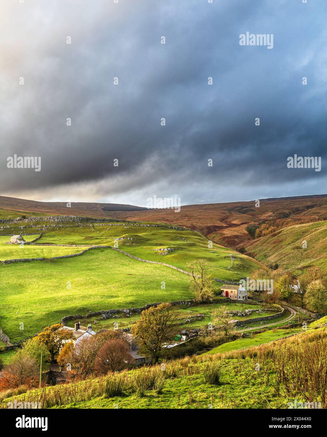 Bâtiments agricoles à Littondale, Yorkshire Dales, Angleterre. Banque D'Images