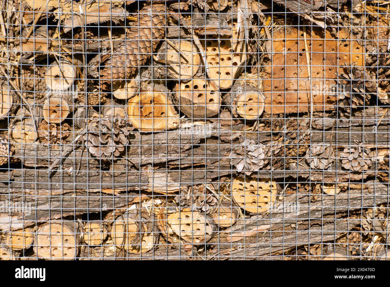 Un hôtel pour insectes, un hôtel pour insectes, une maison pour