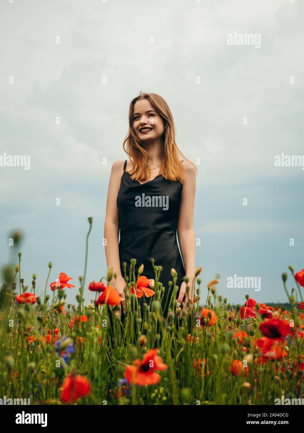 Belle jeune fille dans une robe de soirée noire posant contre un champ de coquelicots sur une journée nuageuse d'été. Portrait d'un modèle féminin en plein air. Temps pluvieux. Banque D'Images