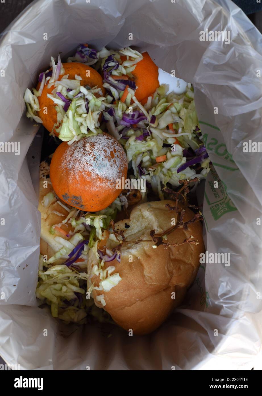 Déchets alimentaires dans un bac de recyclage biologique et un sac compostable Banque D'Images