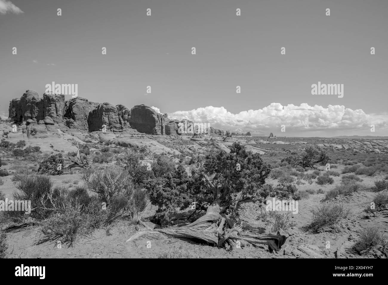 Parc national des arches paysage noir et blanc Banque D'Images