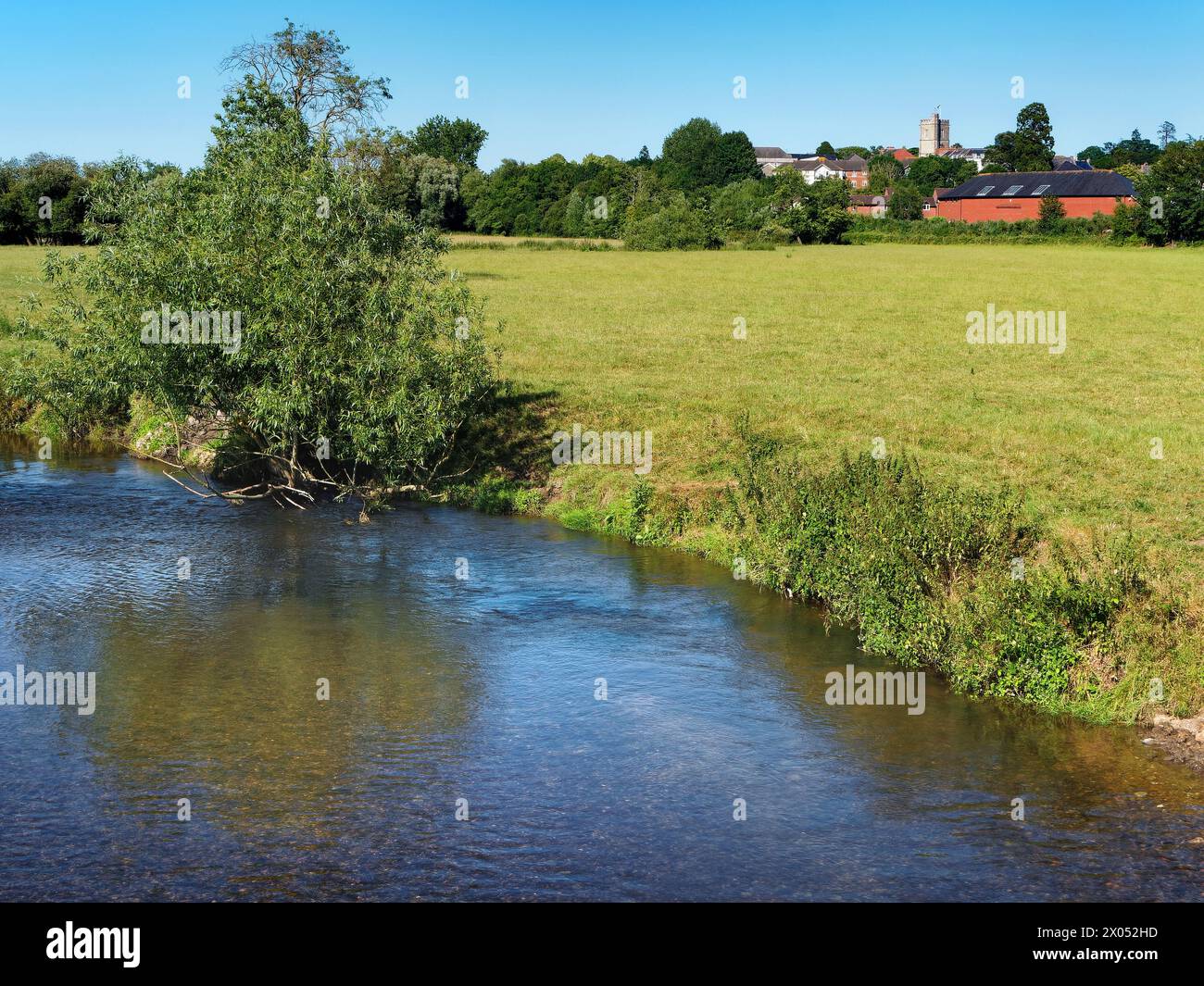 Royaume-Uni, Devon, Axminster, River axe et St Marys Church depuis le pont A35. Banque D'Images