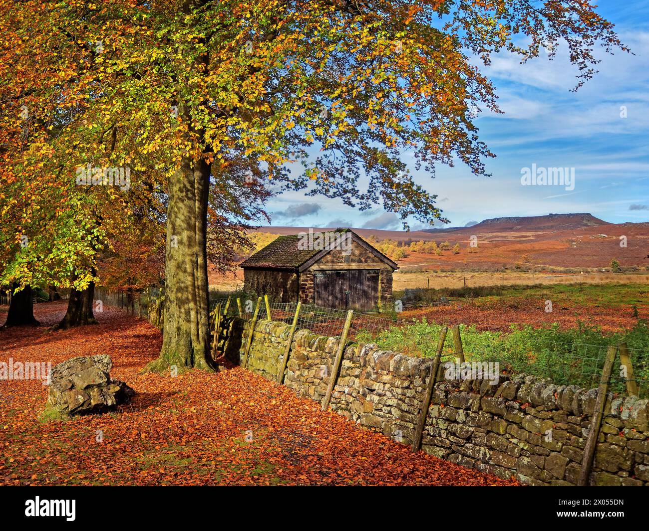 Royaume-Uni, Derbyshire, Peak District, Longshaw Estate, Granby Barn. Banque D'Images