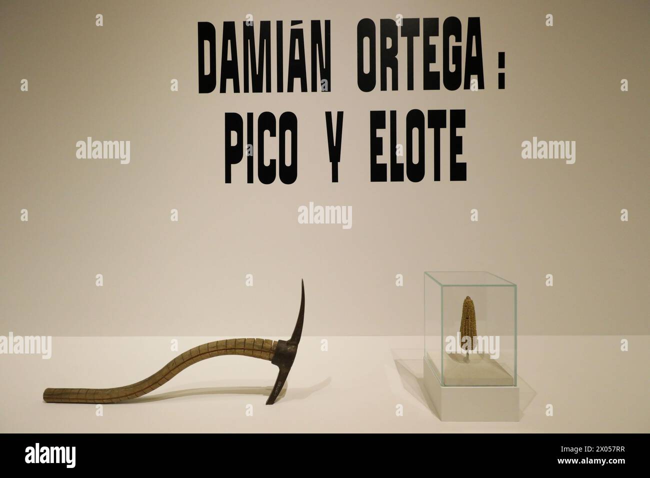 9 avril 2024. Mexico, Mexique : une œuvre d'art de Damian Ortega est vue lors d'une visite de l'exposition 'Pico y Elote'' au Palacio de Bellas Artes Museum. (Crédit image : © Ian Robles/eyepix via ZUMA Press Wire) USAGE ÉDITORIAL SEULEMENT! Non destiné à UN USAGE commercial ! Banque D'Images