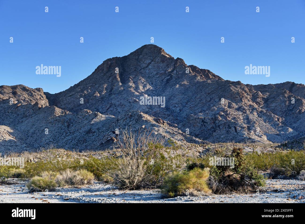 Pic Chemehuevi de 3694 pieds de haut dans le désert de Mojave en Californie orientale Banque D'Images