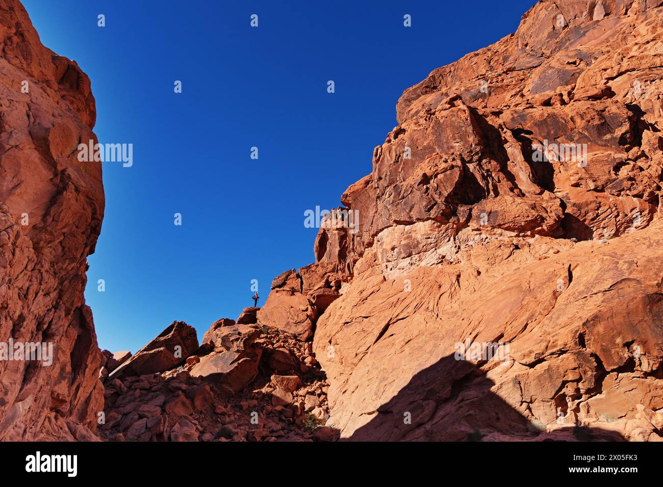 Femme debout à la base d'une falaise de grès rouge dans le parc d'État de Valley of Fire dans le Nevada Banque D'Images