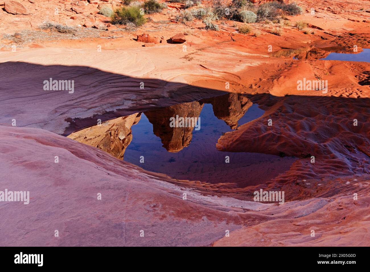 Reflet de formations rocheuses de grès rouge dans une petite piscine dans le parc d'État de Valley of Fire au Nevada Banque D'Images