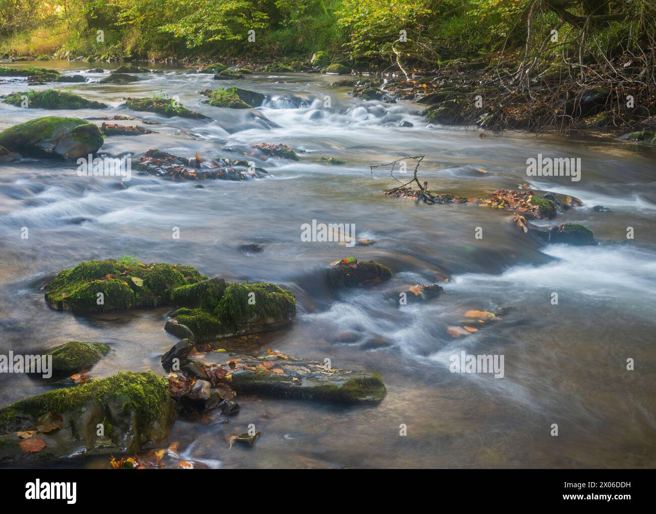 River Barle coulant sur les rochers de Shircombe Slade dans le parc national d'Exmoor, Somerset, Angleterre, Royaume-Uni. Banque D'Images