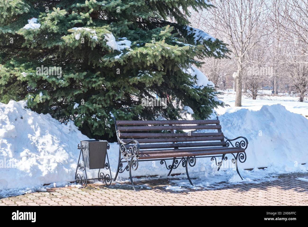 Un banc en bois sur des pieds en fer forgé avec des garde-corps près d'une déneigeuse et un grand épinette moelleux. Paysage d'hiver dans un parc de la ville. Urne en fer décorée avec Banque D'Images