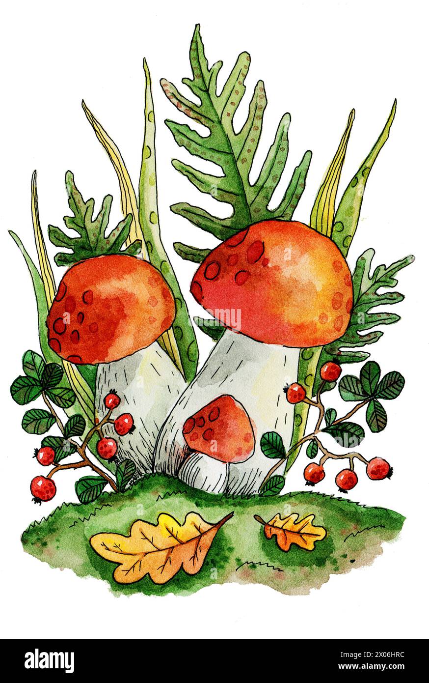 illustration aquarelle champignons et airelles d'automne sur le fond de fougère et d'herbes. Illustration mignonne d'une forêt d'automne. Humeur automnale. Su Banque D'Images