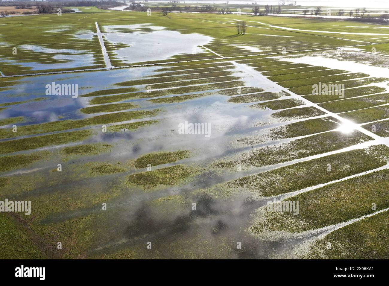 Zone humide dans le parc national, pays-Bas, Parc national de Biesbosch Banque D'Images