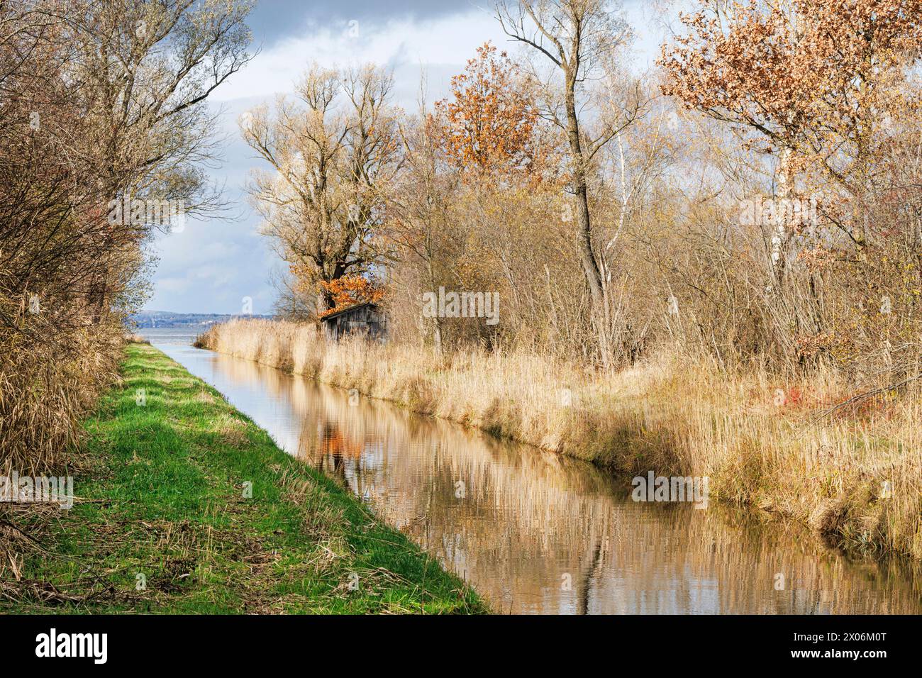 Canal de drainage de la réserve naturelle de Grabenstaetter Moos à la fin de l'automne, Allemagne, Bavière Banque D'Images