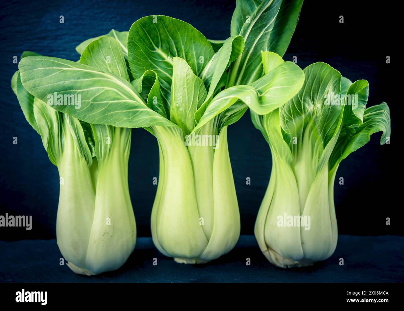 mizuna greens (Brassica rapa var. Chinensis, pak Choi, bok Choi, peh-chai,), trois Pak Choi Banque D'Images