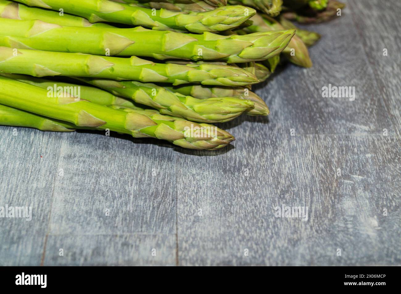 Asperges de jardin, gras de moineau, asperges sauvages (Asparagus officinalis), asperges vertes Banque D'Images