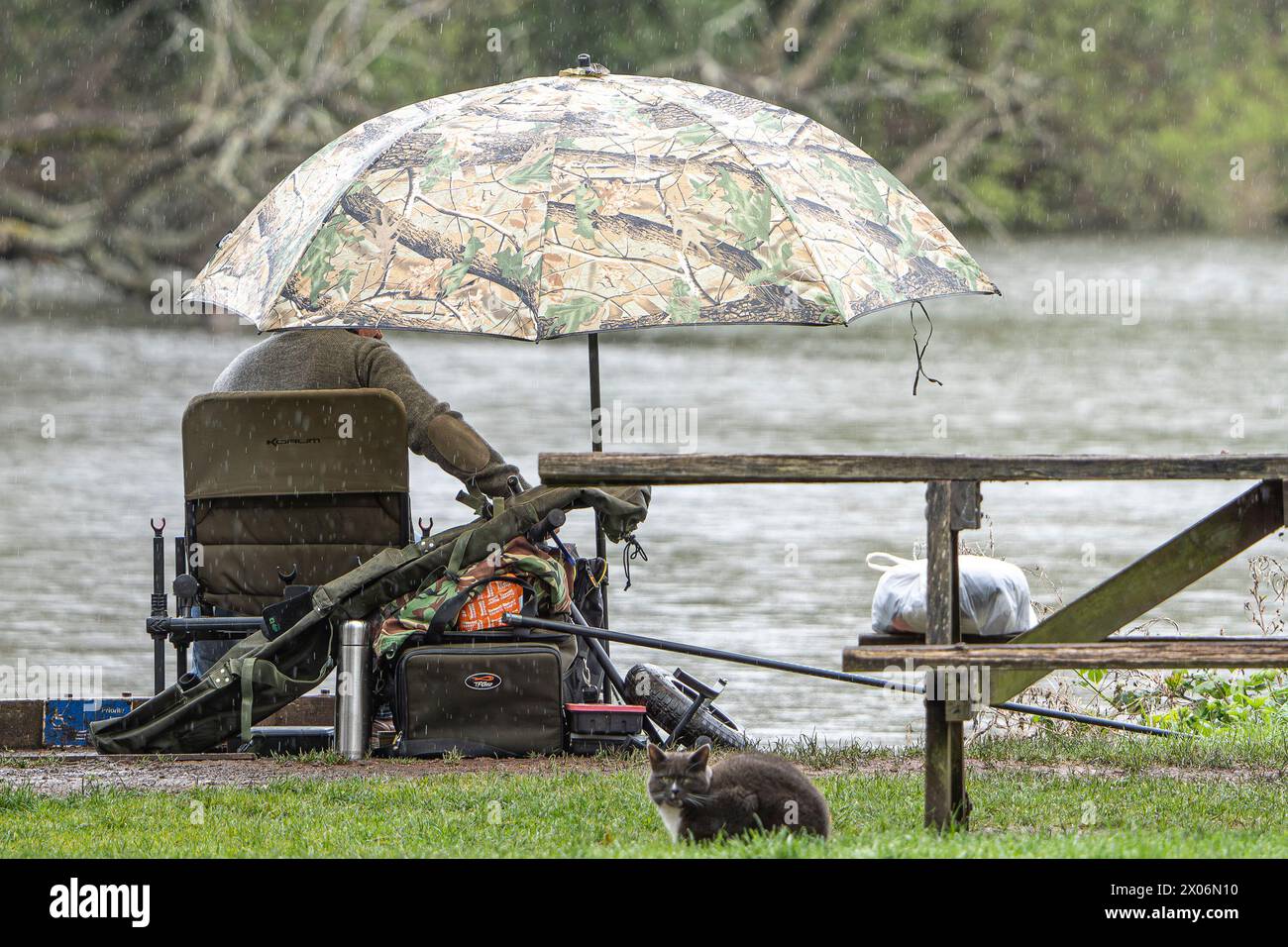 Kidderminster, Royaume-Uni. 10 avril 2024. Météo britannique : fisherman se protège de la pluie sous un gros poisson alors que des averses de pluie persistantes couvrent les Midlands aujourd'hui. Crédit : Lee Hudson/Alamy Live News Banque D'Images