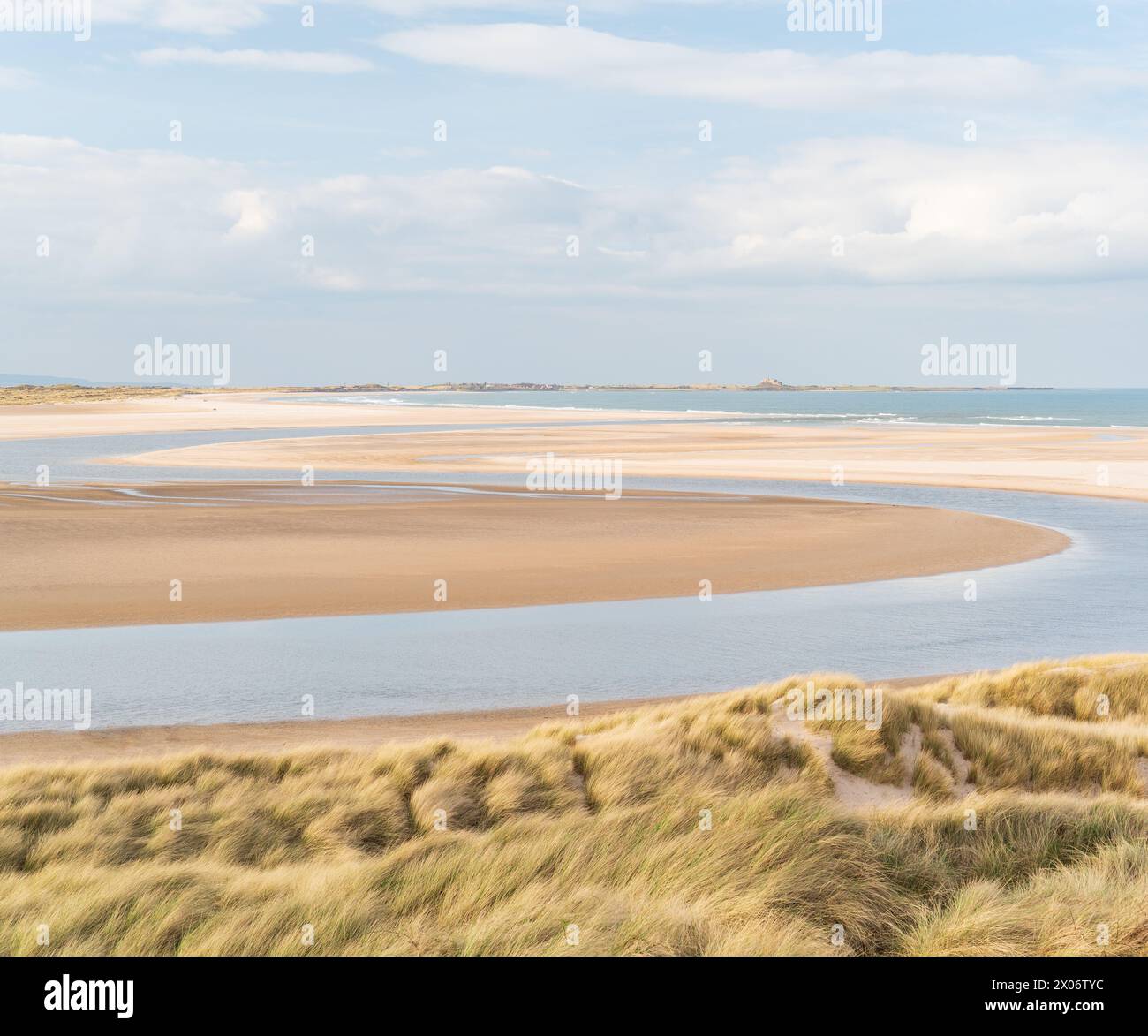 Les courbes de Budle Bay sont visibles à mi-marée en début d'après-midi de printemps avec le château de Lindisfarne visible à l'horizon. Banque D'Images