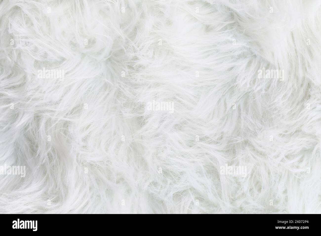 Plein cadre de tapis de fausse fourrure blanche douce. Tissu à motifs pelucheux pour vue de dessus. Banque D'Images