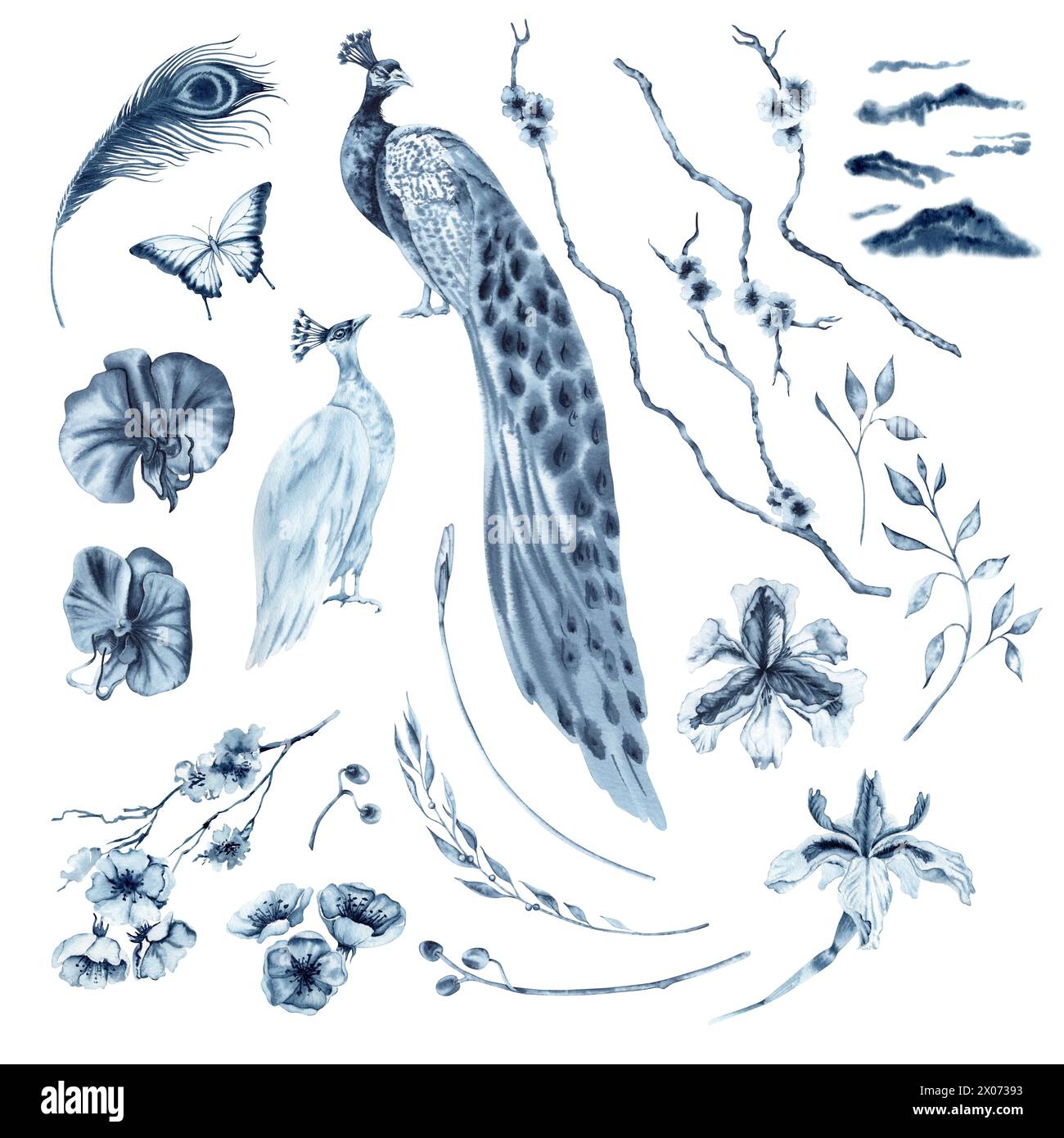 Oiseaux de paon et fleurs avec collection de branches de sakura. Aquarelle avec magnolia, joyeux et iris éléments floraux avec nuages bleus Banque D'Images