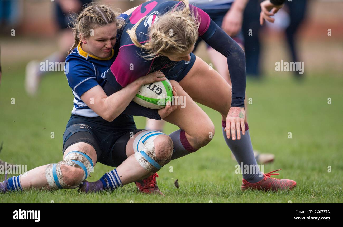 Jeu féminin amateur anglais de rugby à xv. Banque D'Images