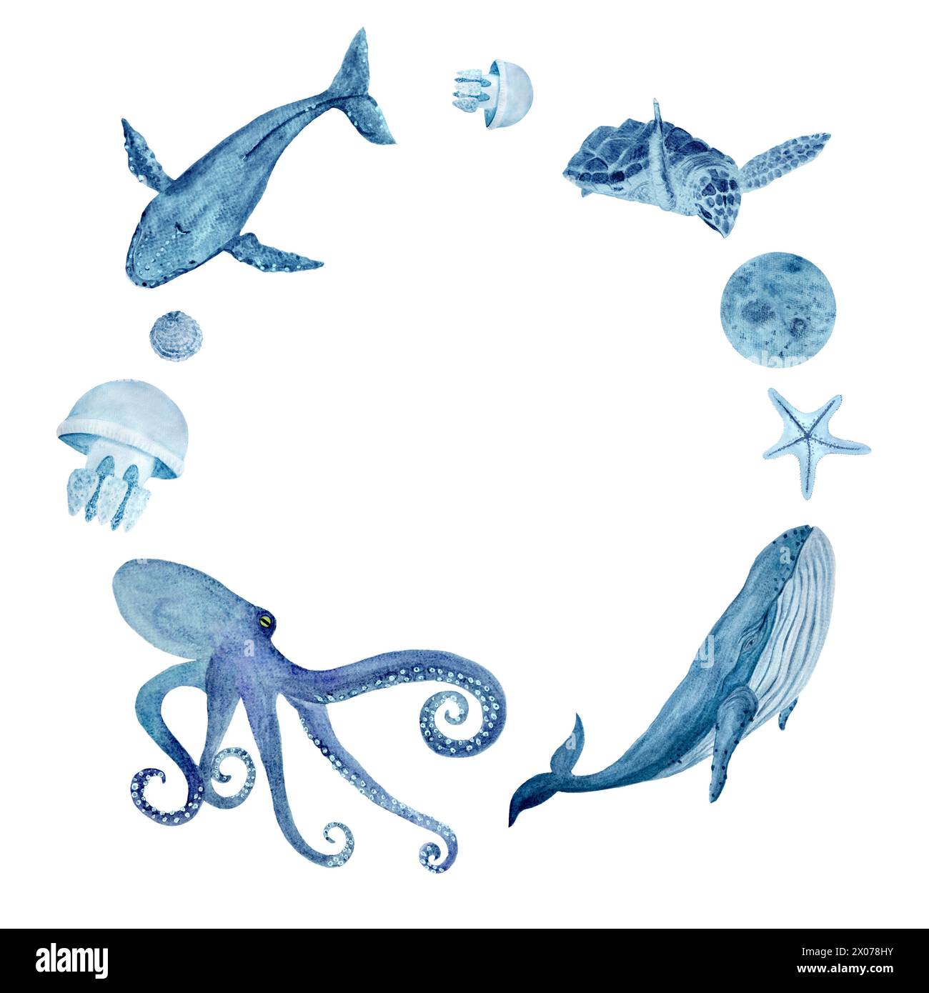 Cadre rond monochromatique bleu aquarelle SEA LIFE dessiné à la main isolé sur blanc. Banque D'Images