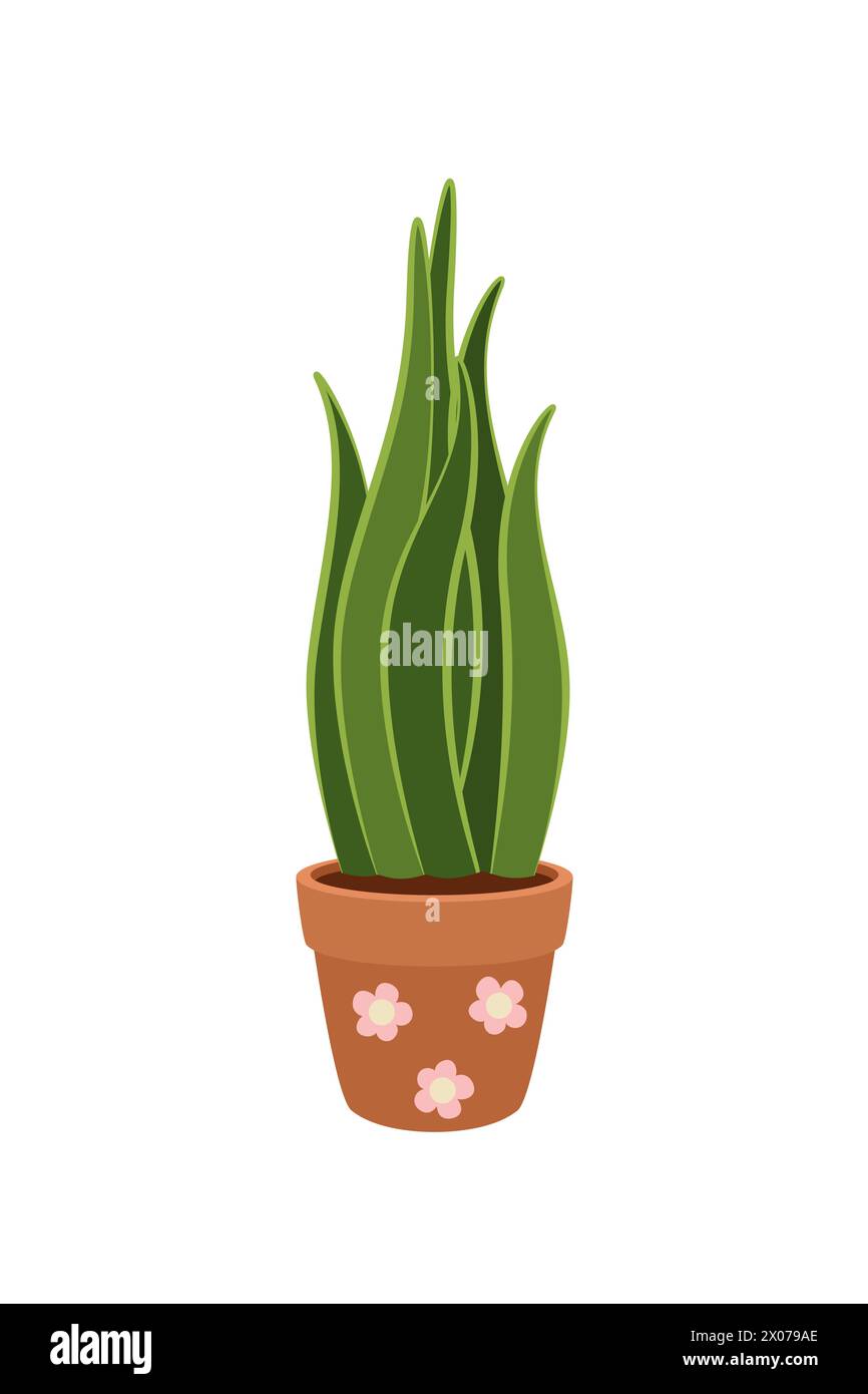 Une plante d'intérieur dans un pot. Sansevieria. Jardin dans la maison. Vecteur. Illustration de Vecteur