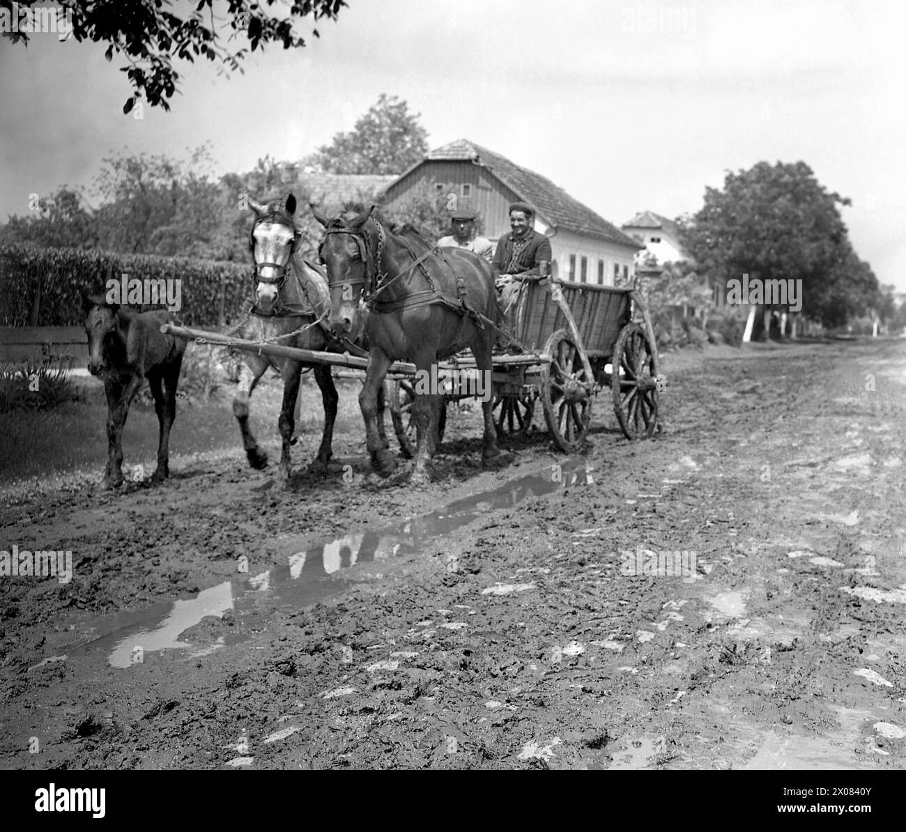 République socialiste de Roumanie dans les années 1970 Des hommes montant un chariot tiré par des chevaux sur une route boueuse non pavée d'un village. Banque D'Images