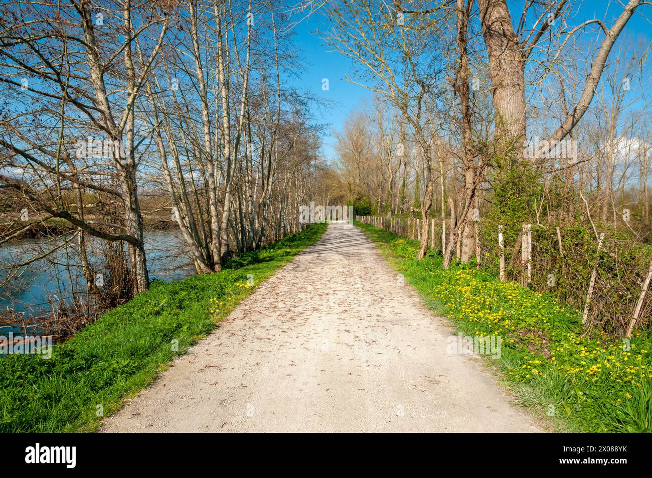 Piste cyclable Velo Francette le long de la rivière Sèvre Niortaise, Magne, deux-Sèvres (79), région Nouvelle-Aquitaine, France Banque D'Images