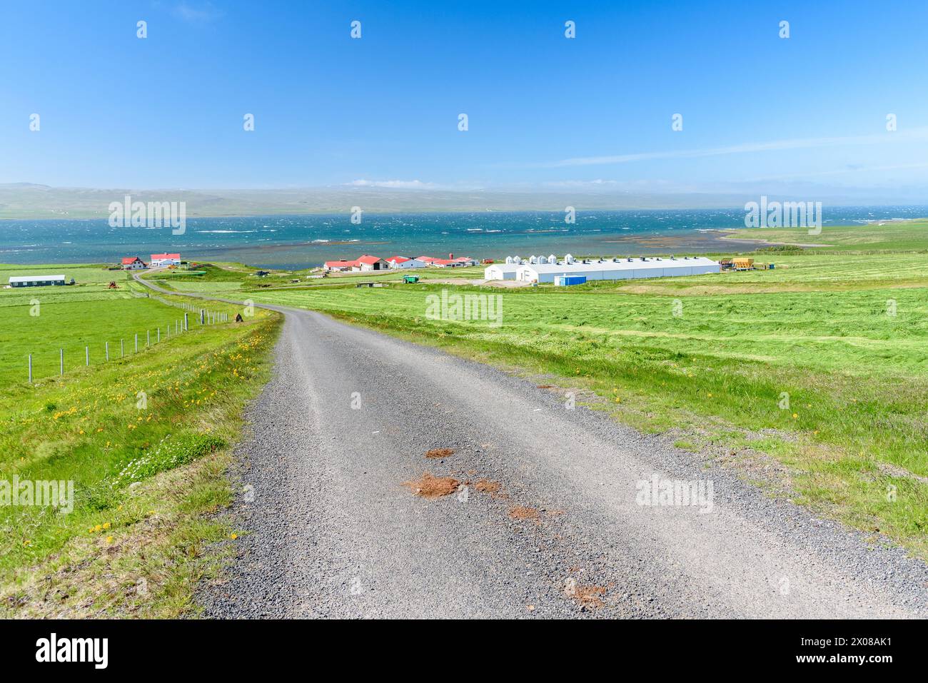 Route de gravier bordée de champs herbeux et de bâtiments agricoles sur la côte nord de l'Islande par une journée d'été ensoleillée Banque D'Images