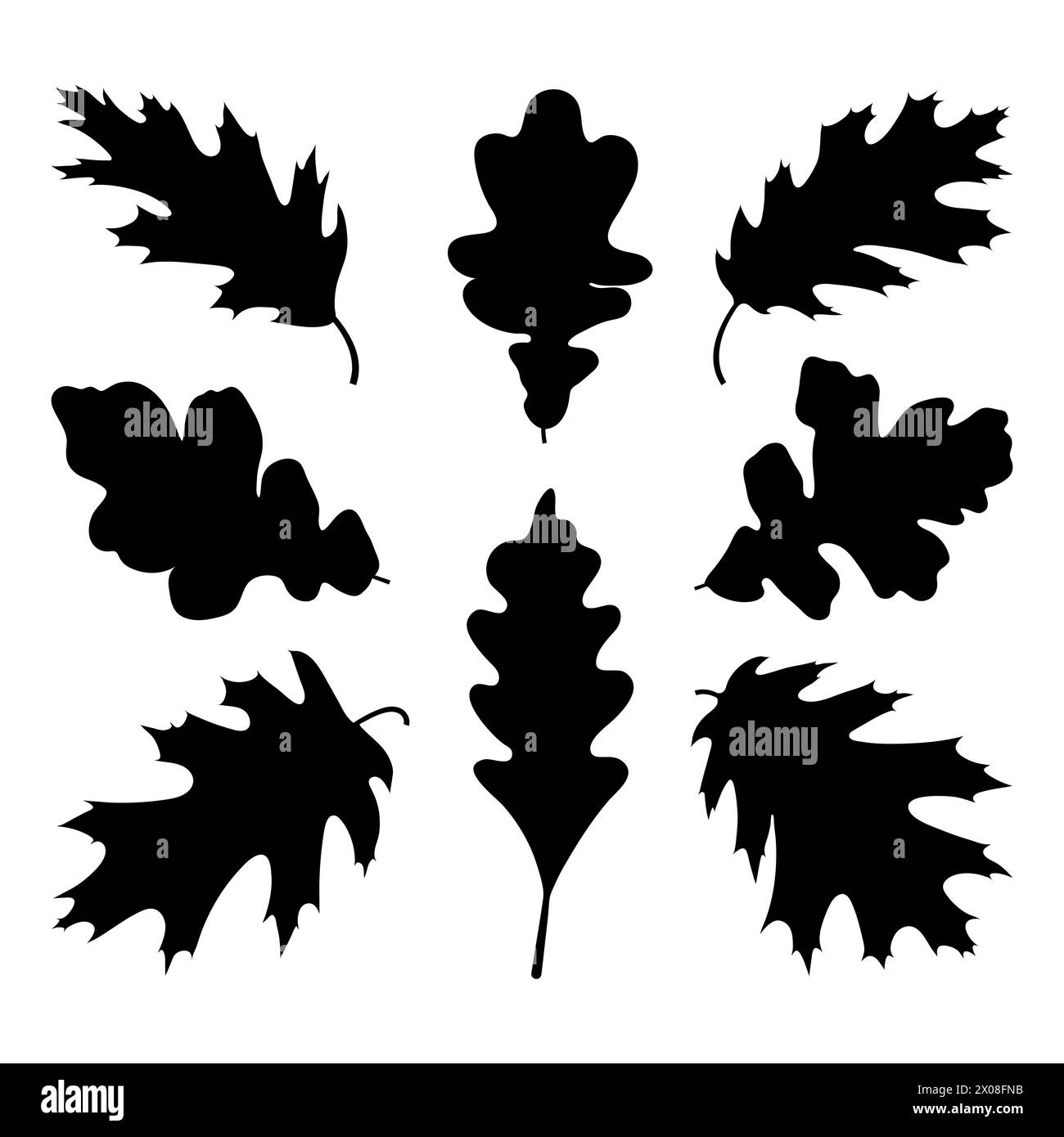 Silhouettes de feuilles de chêne rouge et de chêne blanc, illustration vectorielle isolée sur fond blanc. Illustration de Vecteur