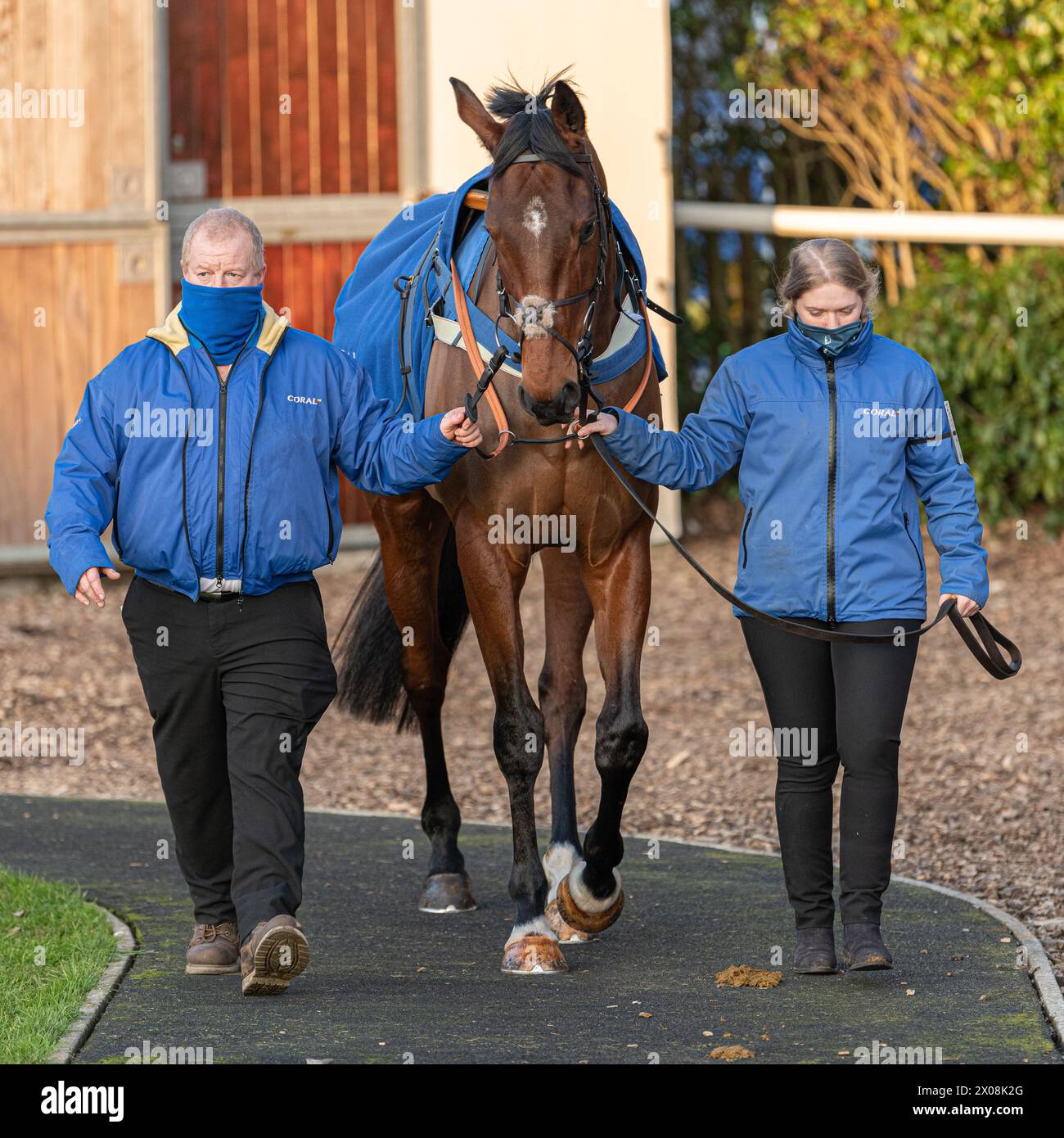 Sixième course à Wincanton, le 26 janvier 2022, haies novices Banque D'Images