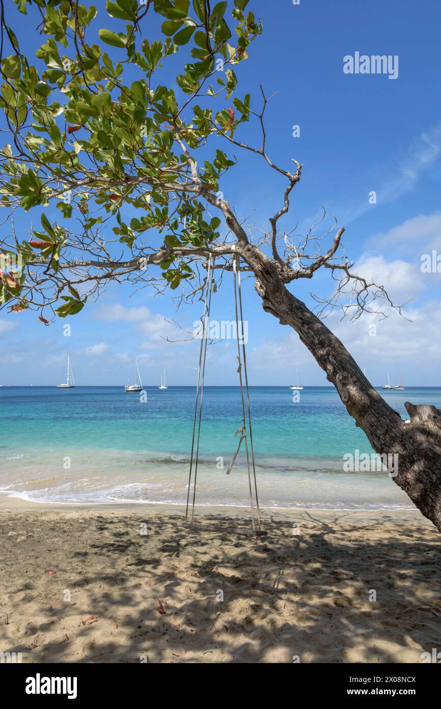 Balançoire rustique suspendue à un arbre à Lower Bay Beach, île de Bequia, St Vincent et les Grenadines, Caraïbes Banque D'Images