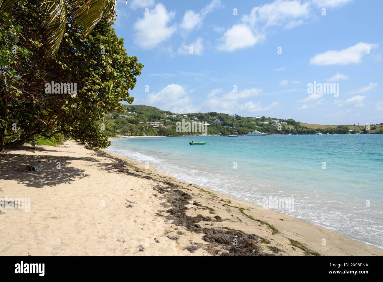 Plage de Friendly Bay, île de Bequia, St Vincent et les Grenadines, Caraïbes Banque D'Images