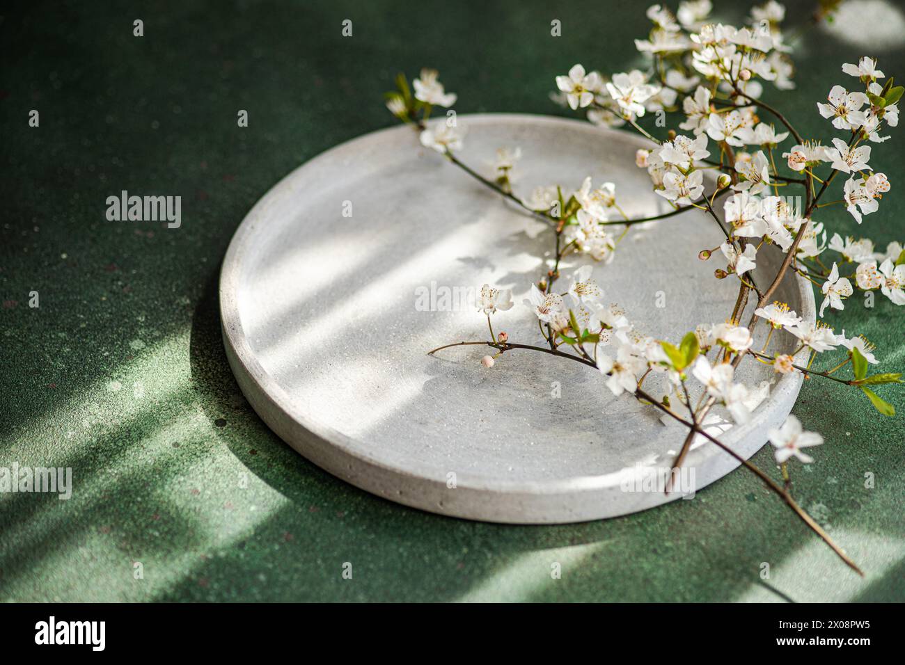 Une composition tranquille avec des fleurs de cerisier reposant sur une plaque ronde en béton avec la lumière du soleil projetant des ombres douces sur un fond vert texturé Banque D'Images