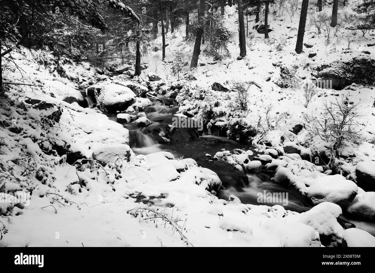 Paisible paysage fluvial noir et blanc situé dans une région montagneuse enneigée pendant l'hiver, mettant en vedette un flux d'eau au milieu de grands rochers. Banque D'Images