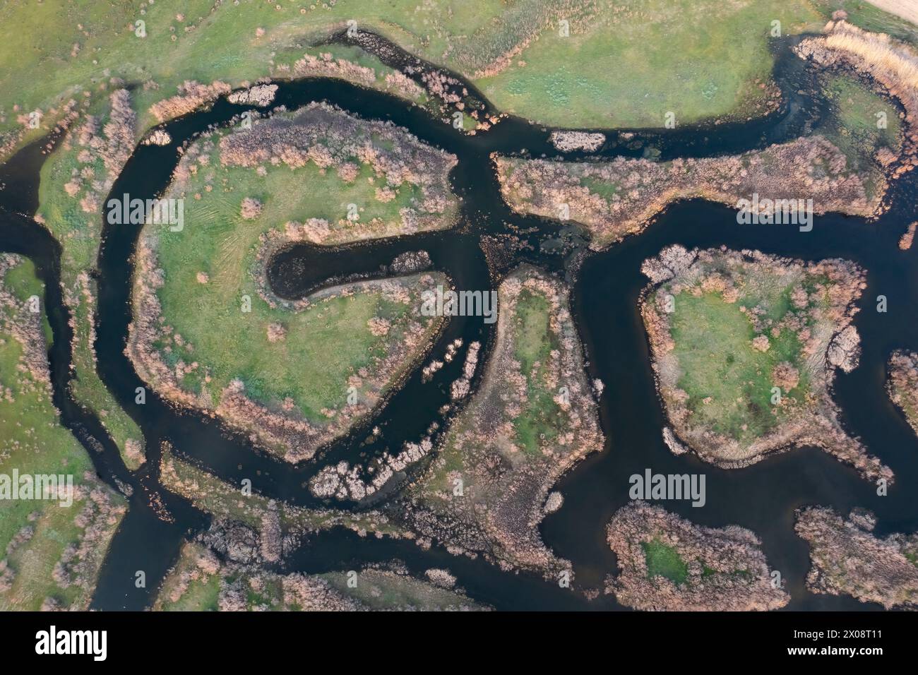 Prise de vue aérienne capture les méandres complexes et la verdure luxuriante de la rivière Ciguera entourée par le paysage pastoral de Ciudad Real, en Espagne. Banque D'Images