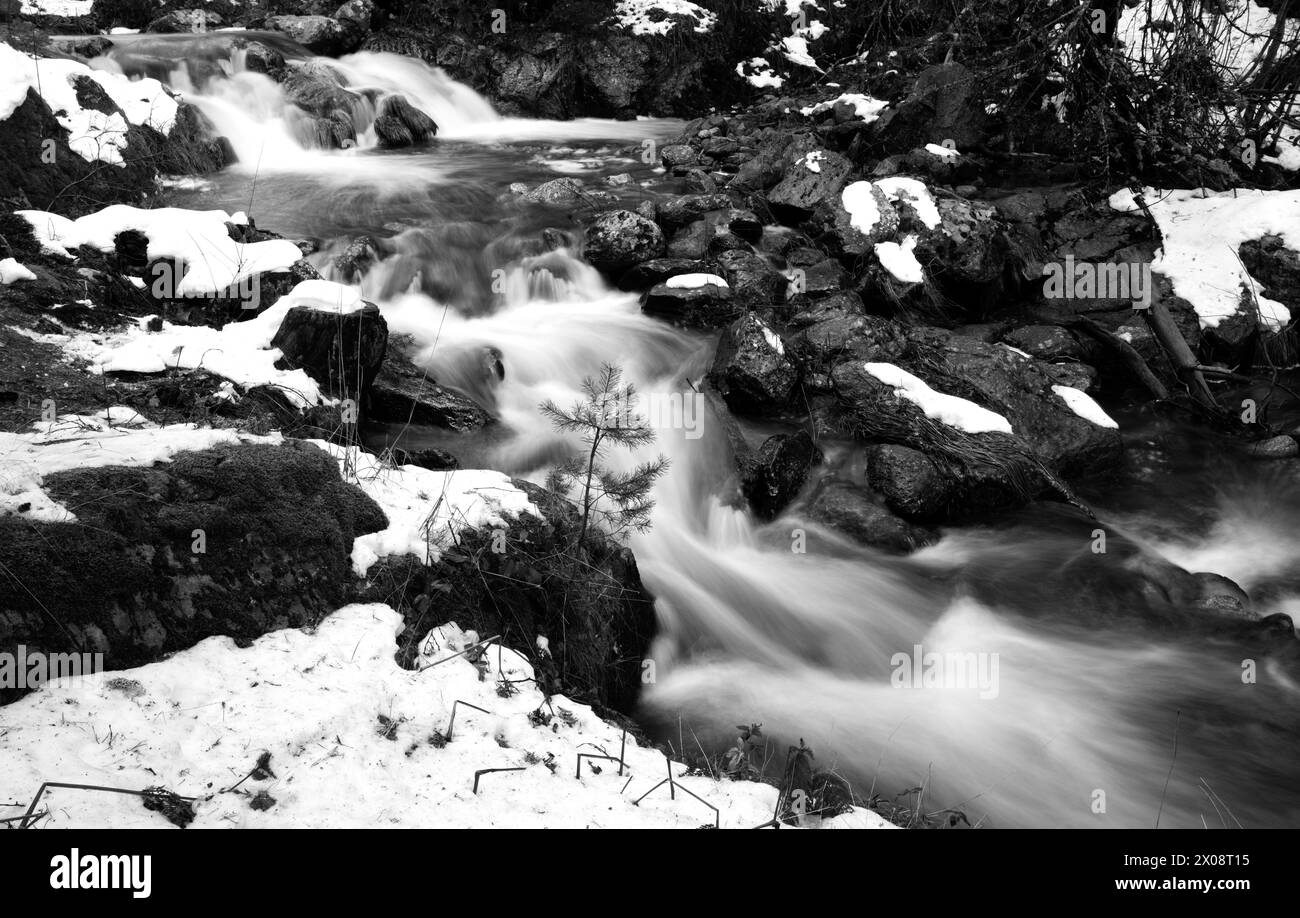 Une photographie en noir et blanc capturant le flux dynamique d'une rivière coupant à travers un paysage de haute montagne enneigé. Banque D'Images