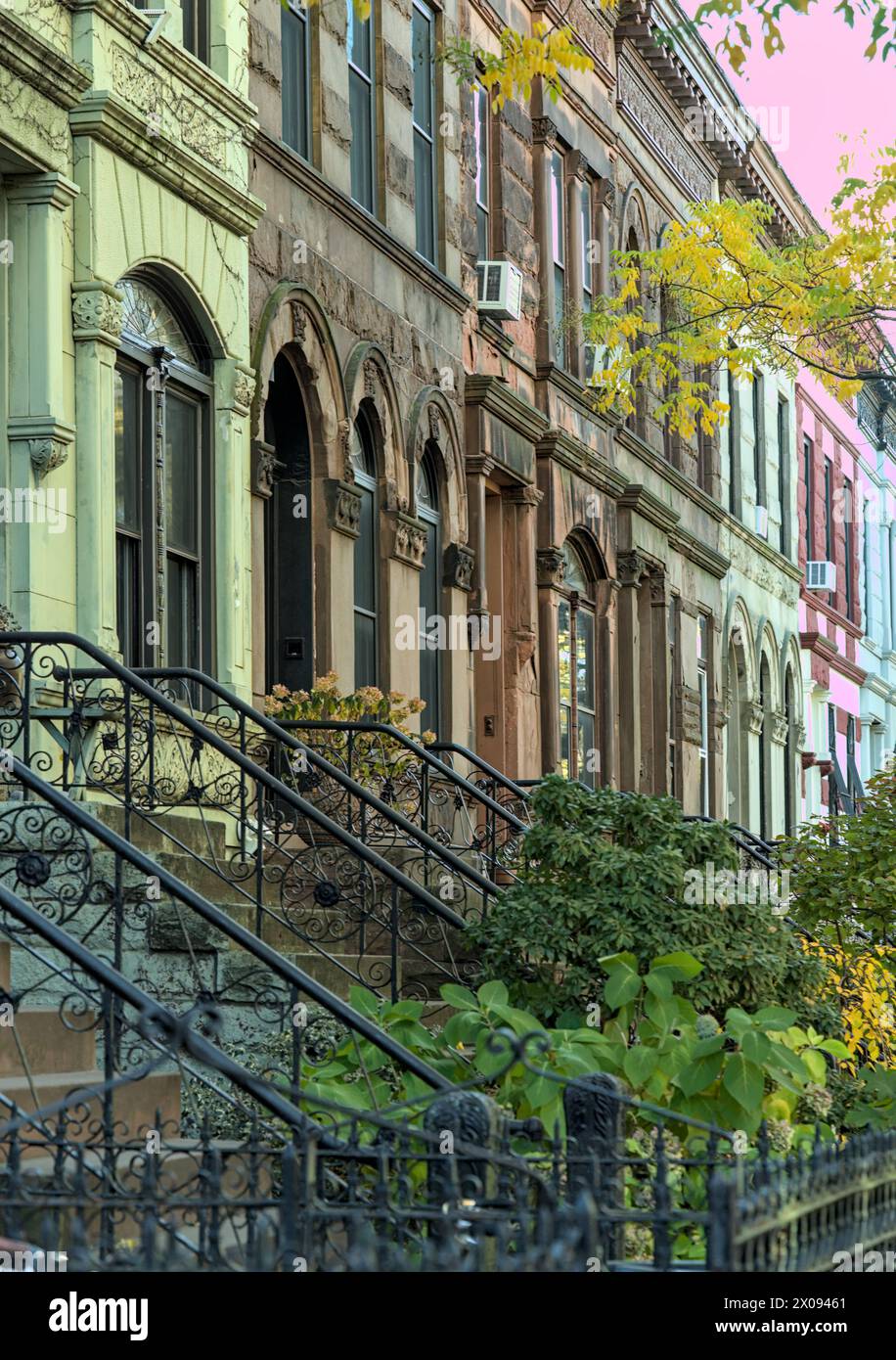 détail brownstone (bâtiments résidentiels en briques historiques colorés à brooklyn) architecture new-yorkaise, maisons sur un bloc bordé d'arbres en automne avec feuillage d'automne Banque D'Images