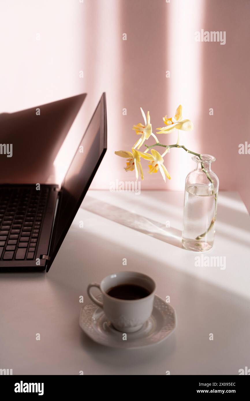 Femme business esthétique nature morte avec ordinateur et café, fond rose pastel Banque D'Images