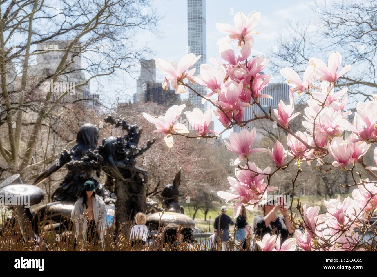 La sculpture Alice au pays des merveilles de la partie de thé est entourée d'arbres en fleurs au début du printemps, central Park, 2024, New York City, États-Unis Banque D'Images