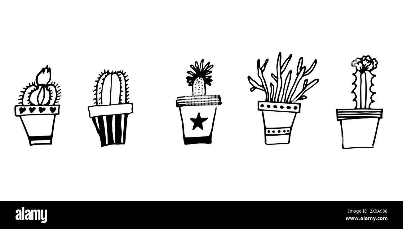 Ensemble de plantes d'intérieur en pots avec cactus et succulentes. Art de ligne vectorielle de plantes dessinées à la main Illustration de Vecteur