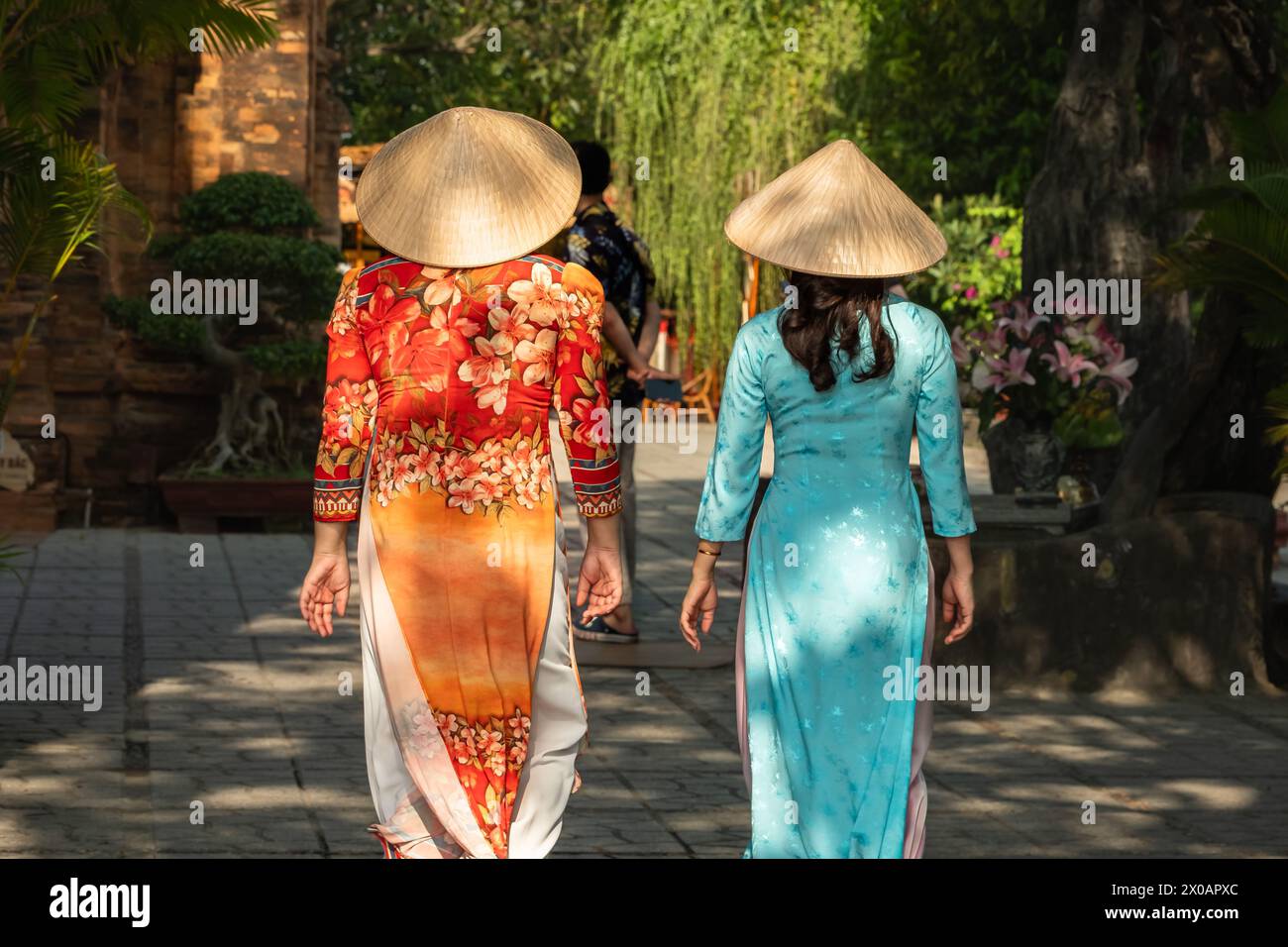 Les femmes vietnamiennes en habillement traditionnel ao dai dans le village, zone rurale Nha Trang Vietnam. La femme vietnamienne porte le chapeau conique traditionnel, connu sous le nom de Banque D'Images
