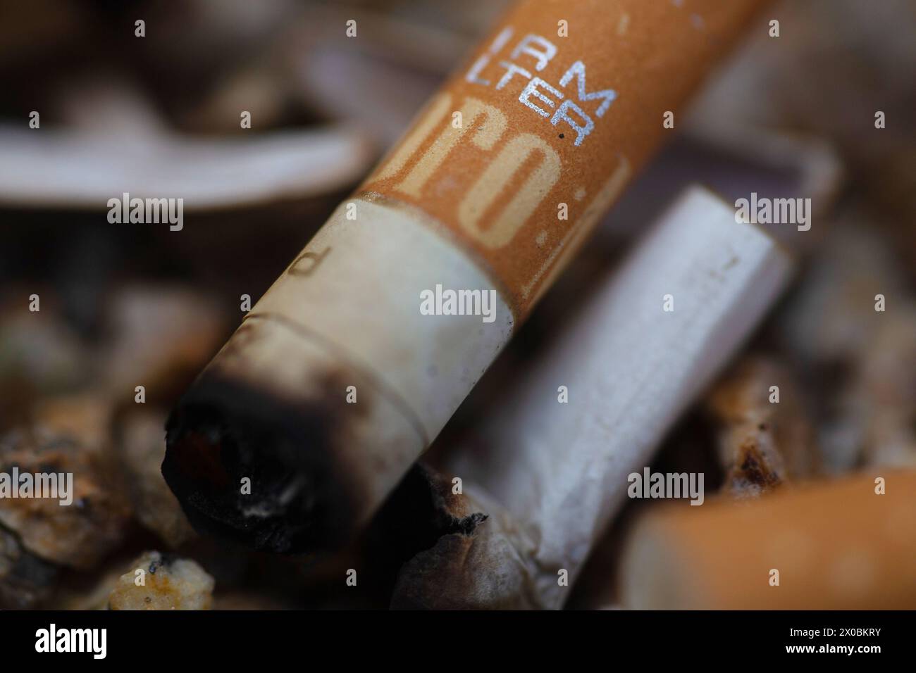 Berlin, Allemagne. 11 avril 2024. Les mégots de cigarettes sont couchés dans un cendrier. Crédit : Fernando Gutierrez-Juarez/dpa/Alamy Live News Banque D'Images